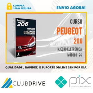 Injeção Eletrônica: Peugeot 206 - VideoCarro  